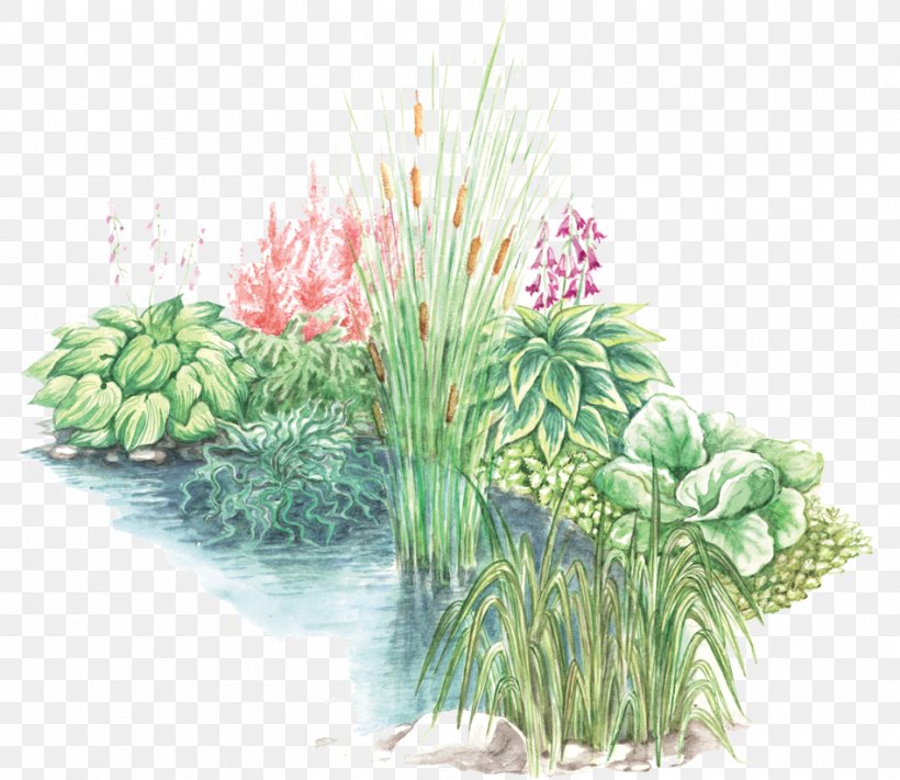 Watercolor Flower Background, PNG, 948x823px, Garden, Aquarium Decor, Art, Botany, Chives Download Free