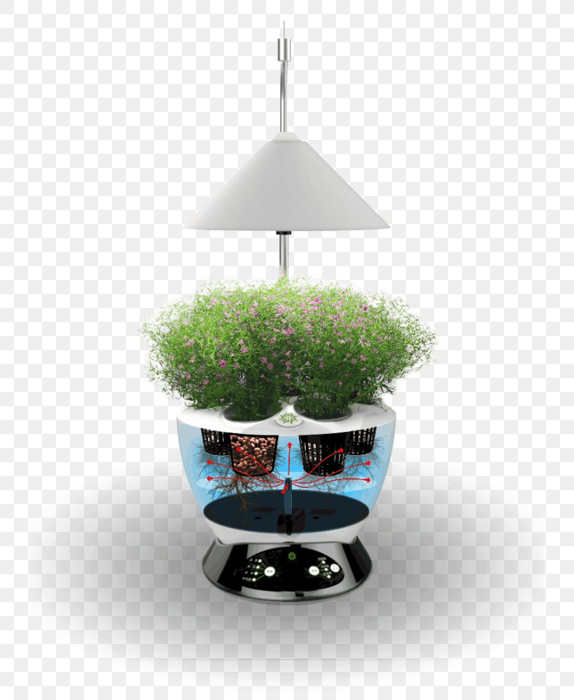 RÁJ PĚSTITELŮ Grow Shop Flowerpot Hydroponics Blue, PNG, 737x1000px, Grow Shop, Blue, Common Cold, Email, Facebook Download Free