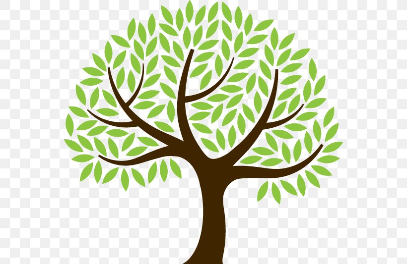 The Foundations Of Mathematics Twig Tree Root Clip Art, PNG, 562x533px, Foundations Of Mathematics, Artwork, Branch, Drawing, Flora Download Free