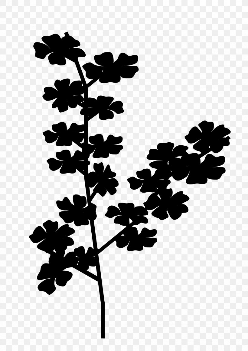 Twig Plant Stem Leaf Font Silhouette, PNG, 1697x2400px, Twig, Blackandwhite, Botany, Branch, Flower Download Free