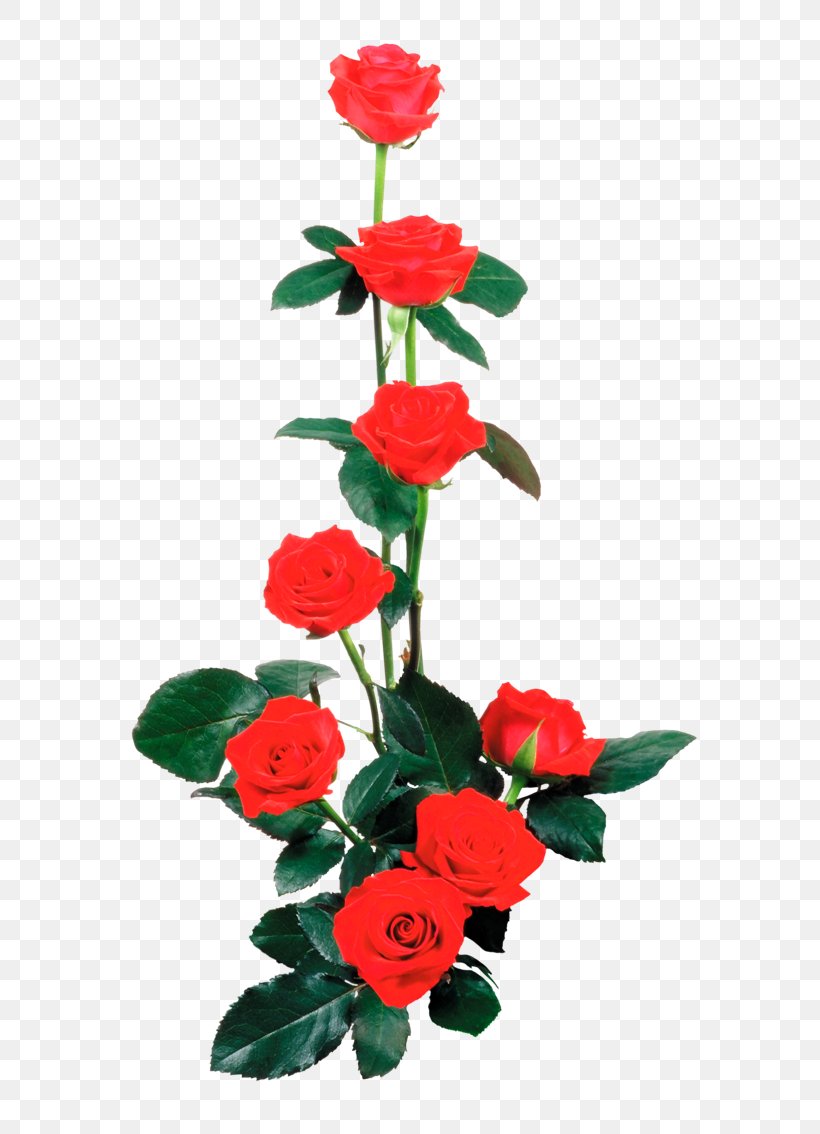 Garden Roses Flower Clip Art, PNG, 600x1134px, Garden Roses, Artificial Flower, Blue Rose, Cut Flowers, Floral Design Download Free