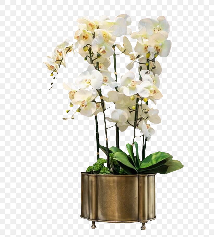Orchids White Euclidean Vector, PNG, 628x909px, Orchids, Android, Artificial Flower, Branch, Cut Flowers Download Free