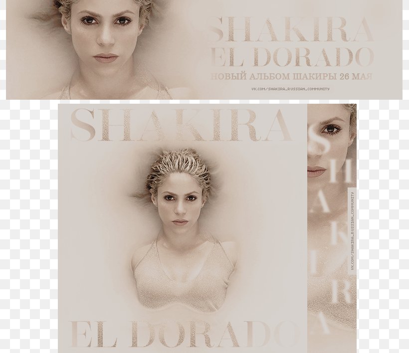 Shakira Demi Lovato El Dorado Cool For The Summer Headpiece, PNG, 795x708px, 2017, Shakira, Adelaide Kane, Cool For The Summer, Demi Lovato Download Free