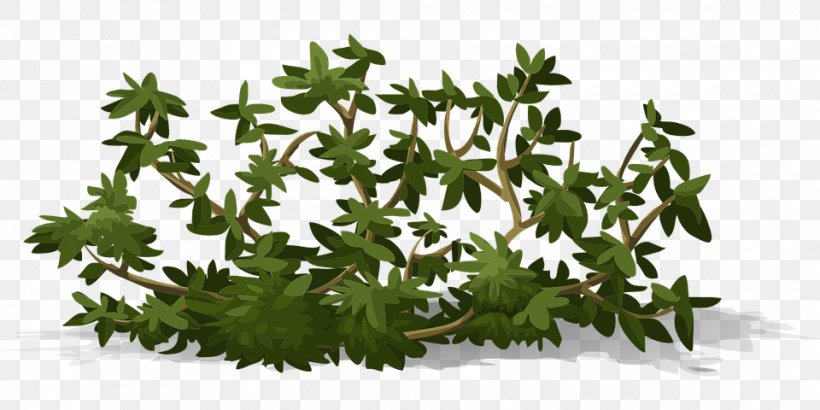 Shrub Tree Rose, PNG, 960x480px, Shrub, Animation, Grass, Groundcover, Leaf Download Free