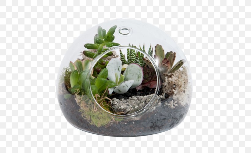 Cactus Garden Succulent Plant Flowerpot, PNG, 500x500px, Cactus Garden, Bg Flowers, Cactus, Cyclamen, Flowerpot Download Free