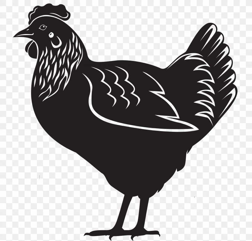 Chicken Royalty-free, PNG, 3908x3736px, Chicken, Beak, Bird, Black And White, Chicken Coop Download Free