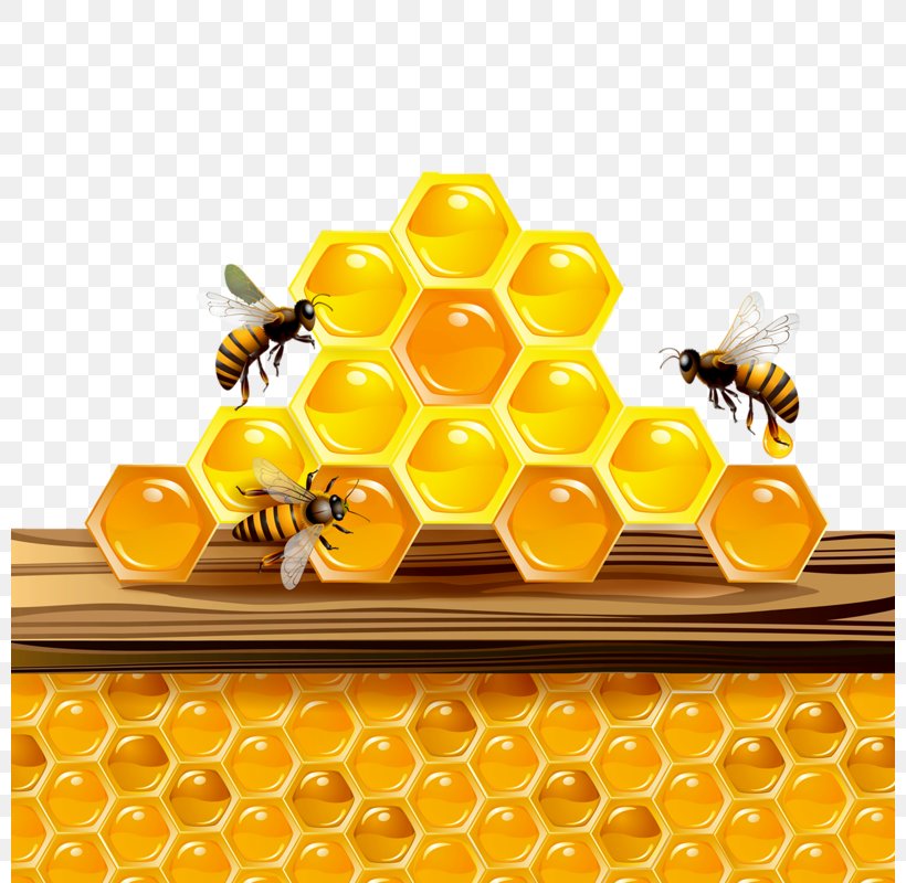Honey Bee Honeycomb Clip Art, PNG, 800x800px, Bee, Beehive, Honey, Honey Bee, Honeycomb Download Free