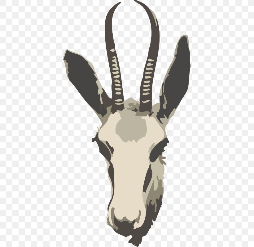 Springbok Gazelle Impala Antelope Clip Art, PNG, 411x800px, Springbok, Antelope, Antler, Cattle Like Mammal, Cow Goat Family Download Free