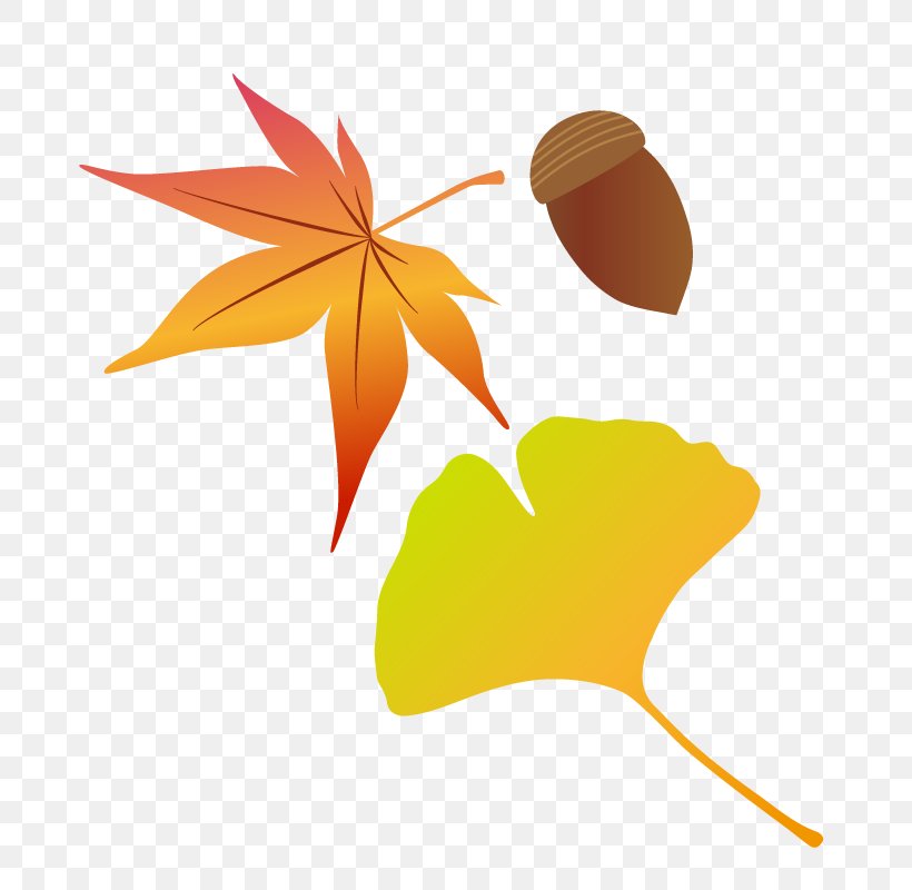 Autumn Leaf Color Illustration Tsukimi Snowboarding, PNG, 800x800px, Autumn, Autumn Leaf Color, Color, Leaf, Maple Leaf Download Free
