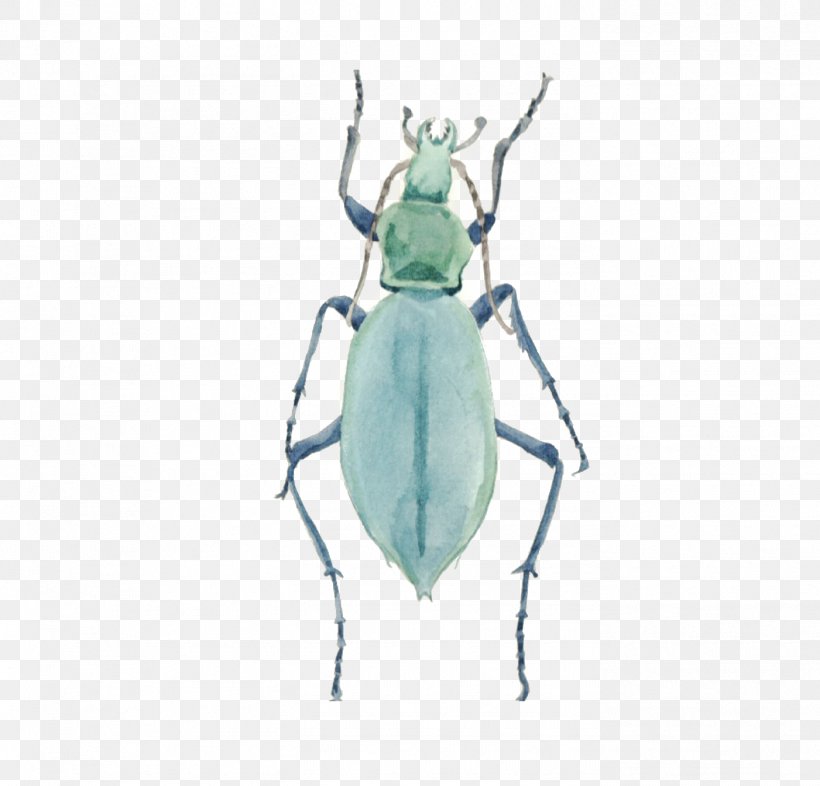 Insect Green, PNG, 1401x1344px, Insect, Arthropod, Beetle, Drawing, Fly Download Free