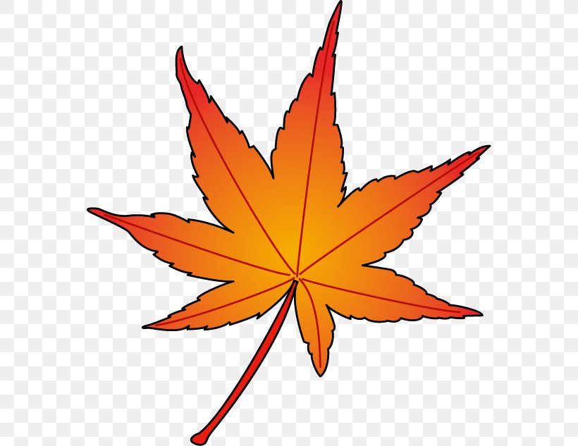 Maple Leaf Symmetry Clip Art, PNG, 574x633px, Maple Leaf, Autumn Leaf Color, Flowering Plant, Leaf, Orange Download Free