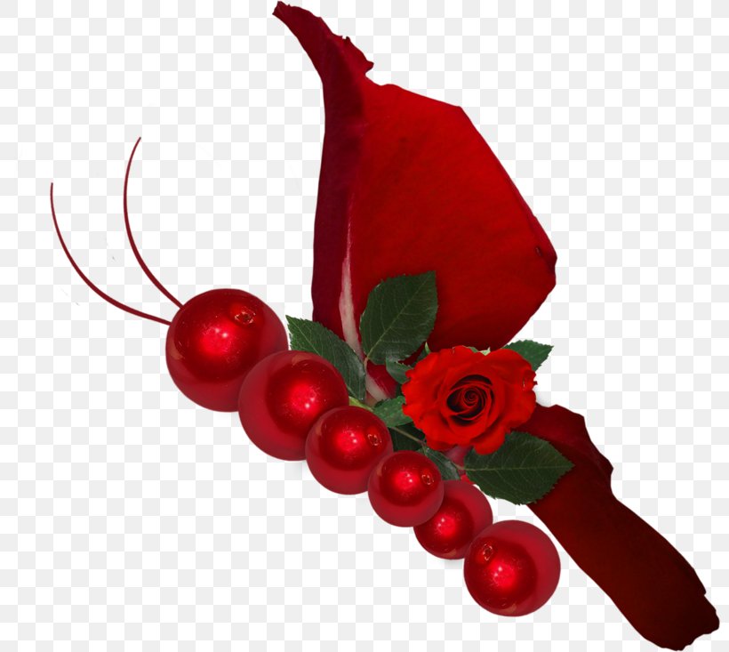 Rose Red, PNG, 800x733px, Rose, Aquifoliaceae, Aquifoliales, Berry, Christmas Decoration Download Free