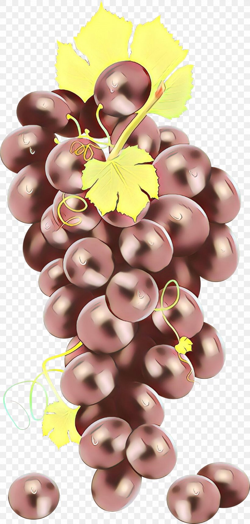 Grape Cartoon, PNG, 1670x3496px, Grape, Extract, Food, Fruit, Grape Seed Extract Download Free