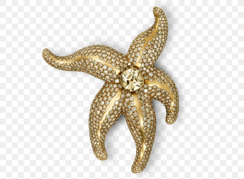 Jewellery Brooch Gold Starfish Diamond, PNG, 648x604px, Jewellery, Body Jewelry, Brilliant, Brooch, Colored Gold Download Free
