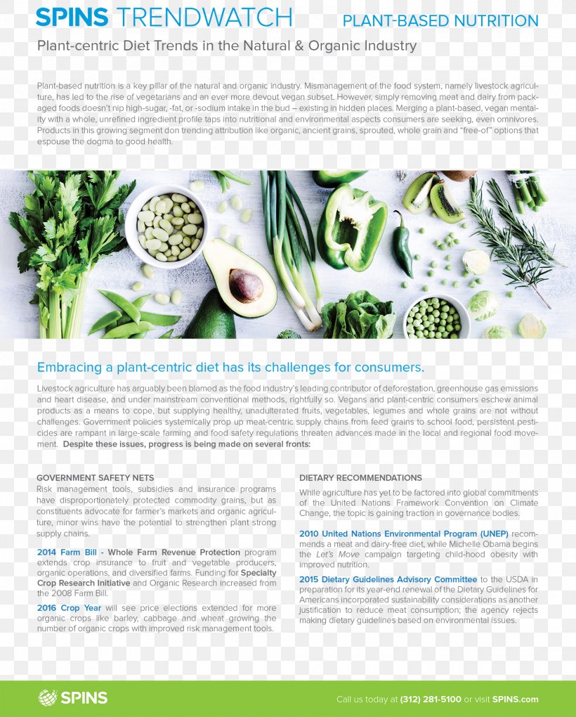 Raw Foodism Smoothie Health Shake Diet, PNG, 1500x1866px, Raw Foodism, Advertising, Brochure, Cabbage Soup Diet, Detoxification Download Free