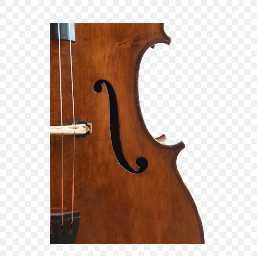 Bass Violin Double Bass Violone Viola Octobass, PNG, 500x816px, Bass Violin, Acoustic Electric Guitar, Acousticelectric Guitar, Bass, Bass Guitar Download Free