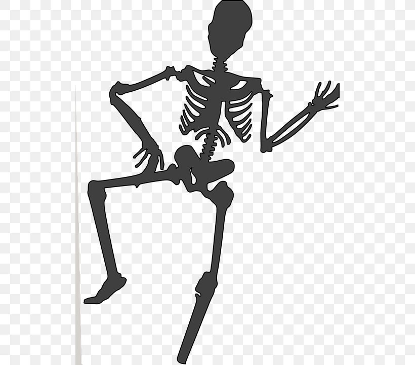 Human Skeleton Clip Art, PNG, 522x720px, Skeleton, Black And White, Cartoon, Dance, Drawing Download Free