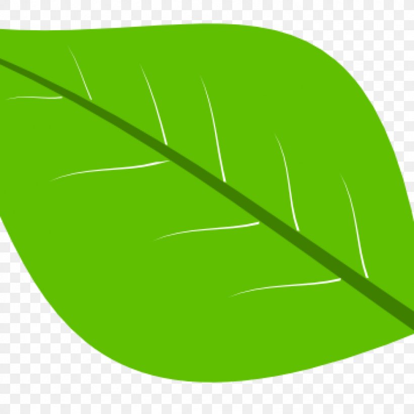 Leaf Product Design Plant Stem Font, PNG, 1024x1024px, Leaf, Grass, Grass Family, Grasses, Green Download Free