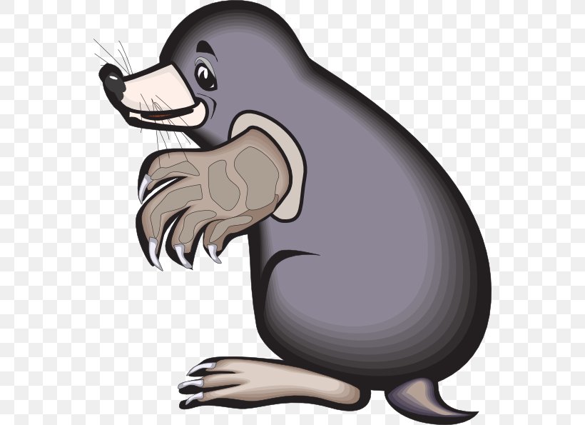 Mole Cartoon Clip Art, PNG, 558x595px, Mole, Beak, Bear, Beaver, Bird Download Free