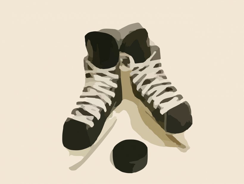 National Hockey League Ice Hockey Ice Skating Sport, PNG, 1280x969px, National Hockey League, Coach, Footwear, Hockey, Hockey Field Download Free