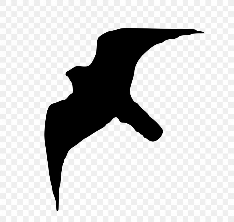 Peale's Falcon Ornithology Australian Hobby Tundra, PNG, 2000x1907px, Falcon, Arabic Wikipedia, Australian Hobby, Beak, Bird Download Free