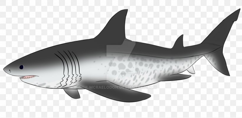 Tiger Shark Megalodon Drawing Image, PNG, 1280x626px, Tiger Shark, Animal, Animal Figure, Cartilaginous Fish, Deviantart Download Free