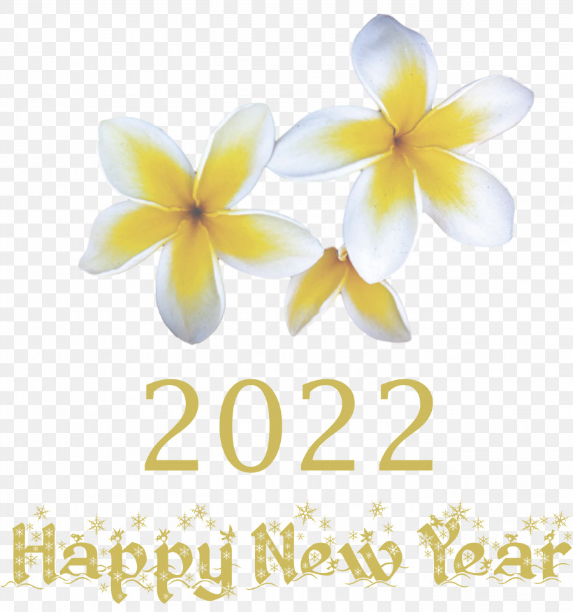 2022 Happy New Year 2022 New Year 2022, PNG, 2807x3000px, Cut Flowers, Biology, Flower, Meter, Petal Download Free