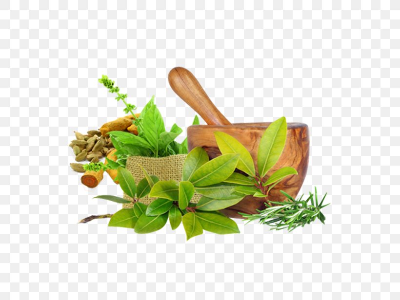 Ayurveda Medicine Therapy Health Care, PNG, 631x616px, Ayurveda, Ayurvedic Healing, Cure, Diabetes Management, Diabetes Mellitus Download Free