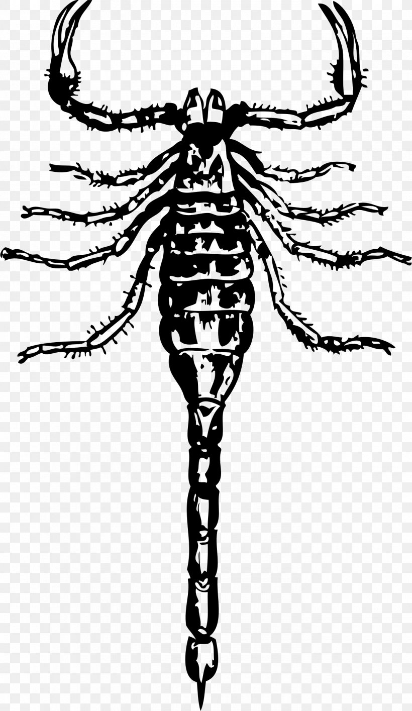 Drawing Clip Art, PNG, 1390x2400px, Drawing, Art, Arthropod, Black And White, Blog Download Free