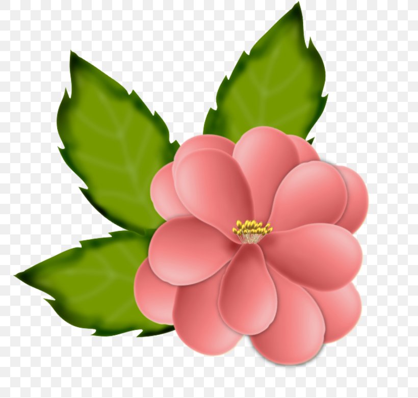 Flower Drawing, PNG, 800x781px, Flower, Blume, Drawing, Flowering Plant, Harcos Katalin Download Free