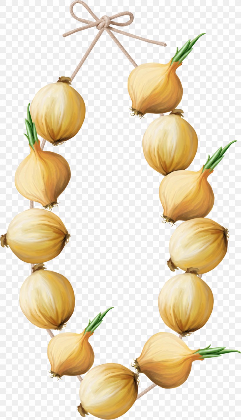Shallot Vegetable Fruit Food Garlic, PNG, 1255x2188px, Shallot, Cake, Chef, Commodity, Cooking Download Free