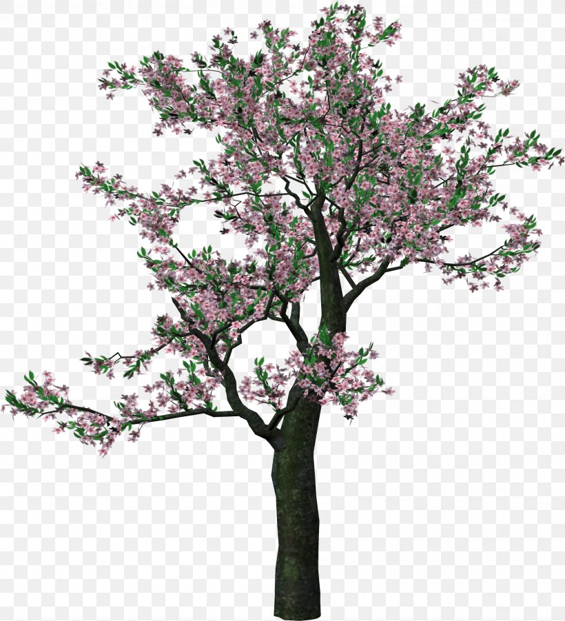 Tree Clip Art, PNG, 1895x2084px, Tree, Blossom, Branch, Cherry Blossom, Flower Download Free