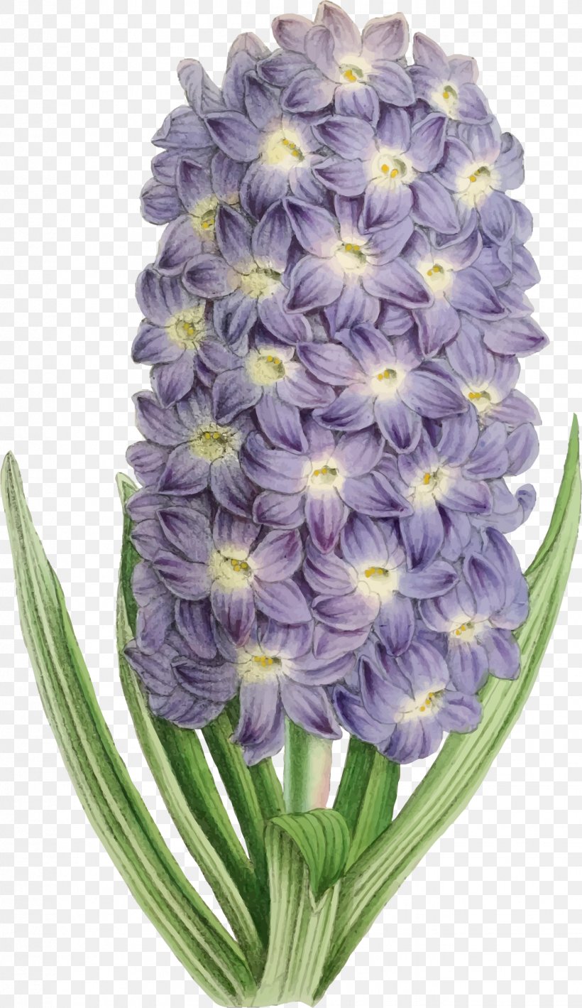 Flower Purple Violet Clip Art, PNG, 1339x2318px, Flower, Color, Cut Flowers, Floral Design, Flowering Plant Download Free