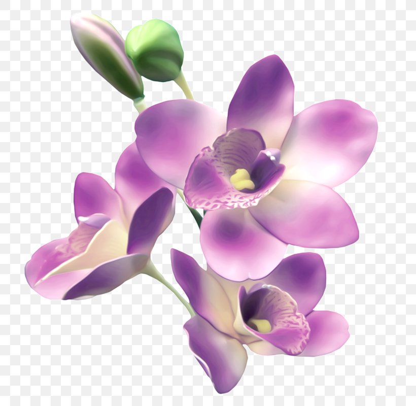 GIF Image Love Day, PNG, 800x800px, Love, Animation, Cut Flowers, Day, Flower Download Free