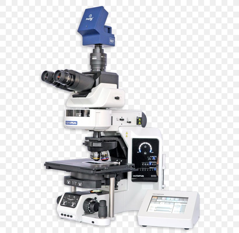 Microscope Fluorescence In Situ Hybridization Comparative Genomic Hybridization Cytogenetics Metaphase, PNG, 587x800px, Microscope, Automation, Comparative Genomic Hybridization, Cytogenetics, Deletion Download Free