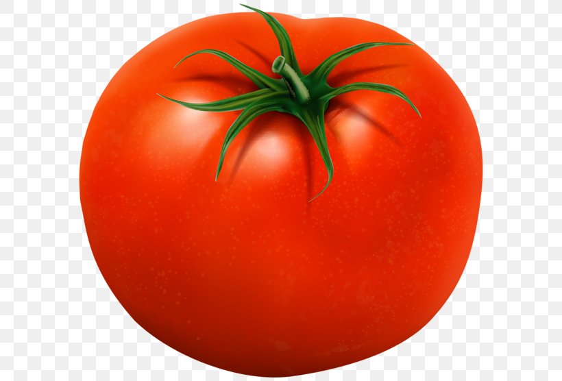 Plum Tomato Bush Tomato Food Clip Art, PNG, 600x556px, Plum Tomato, Apple, Berry, Bush Tomato, Diagram Download Free