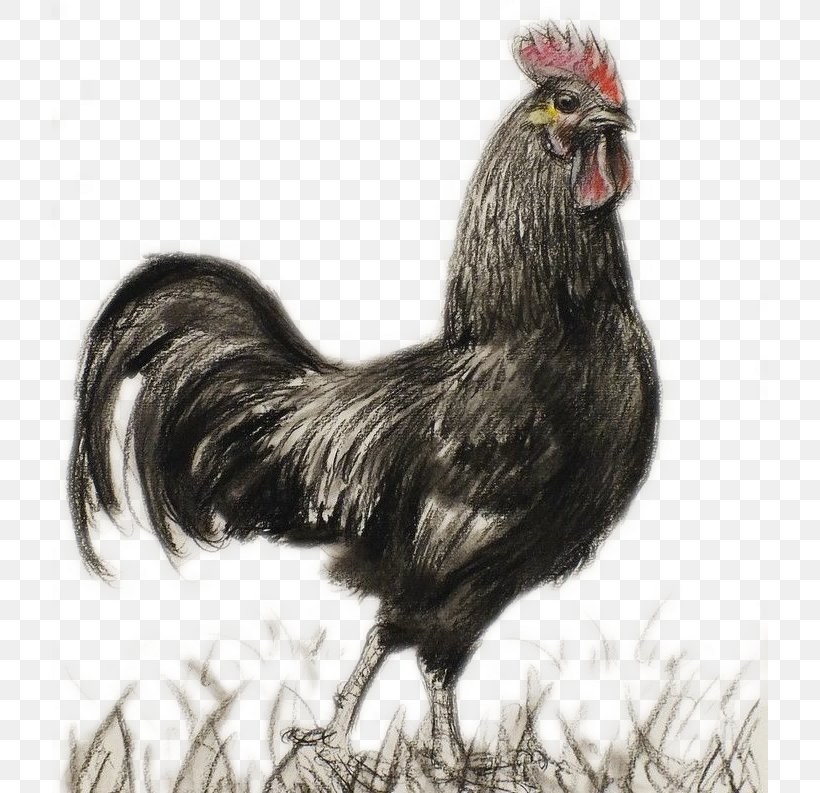 Rooster Chicken Drawing Ink Wash Painting Chinese Painting, PNG, 716x793px, Rooster, Art, Beak, Bird, Cartoon Download Free