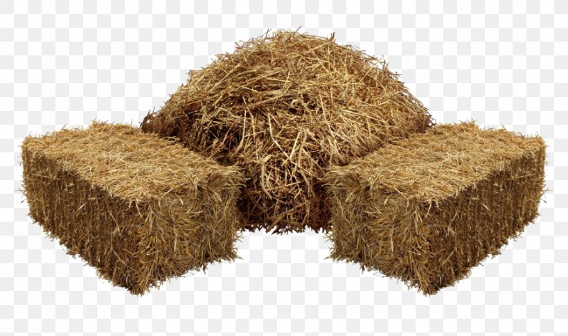 Straw Background, PNG, 901x534px, Hay, Agriculture, Baler, Cuisine, Farm Download Free