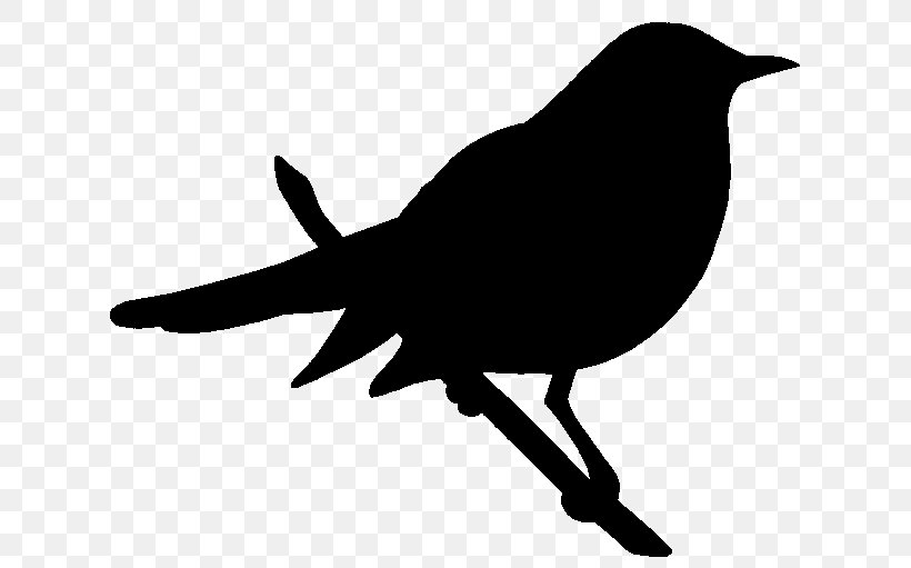 American Crow Black & White, PNG, 648x511px, American Crow, Beak, Bird, Black White M, Blackbird Download Free