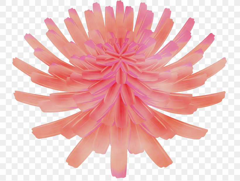 Artificial Flower, PNG, 3343x2534px, Dandelion Flower, Artificial Flower, Chrysanthemum, Cut Flowers, Dandelion Download Free