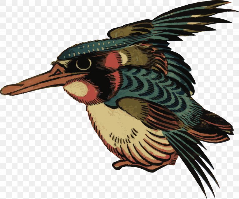 Bird Beak Kingfisher Clip Art, PNG, 4000x3334px, Bird, Beak, Coraciiformes, Fauna, Feather Download Free