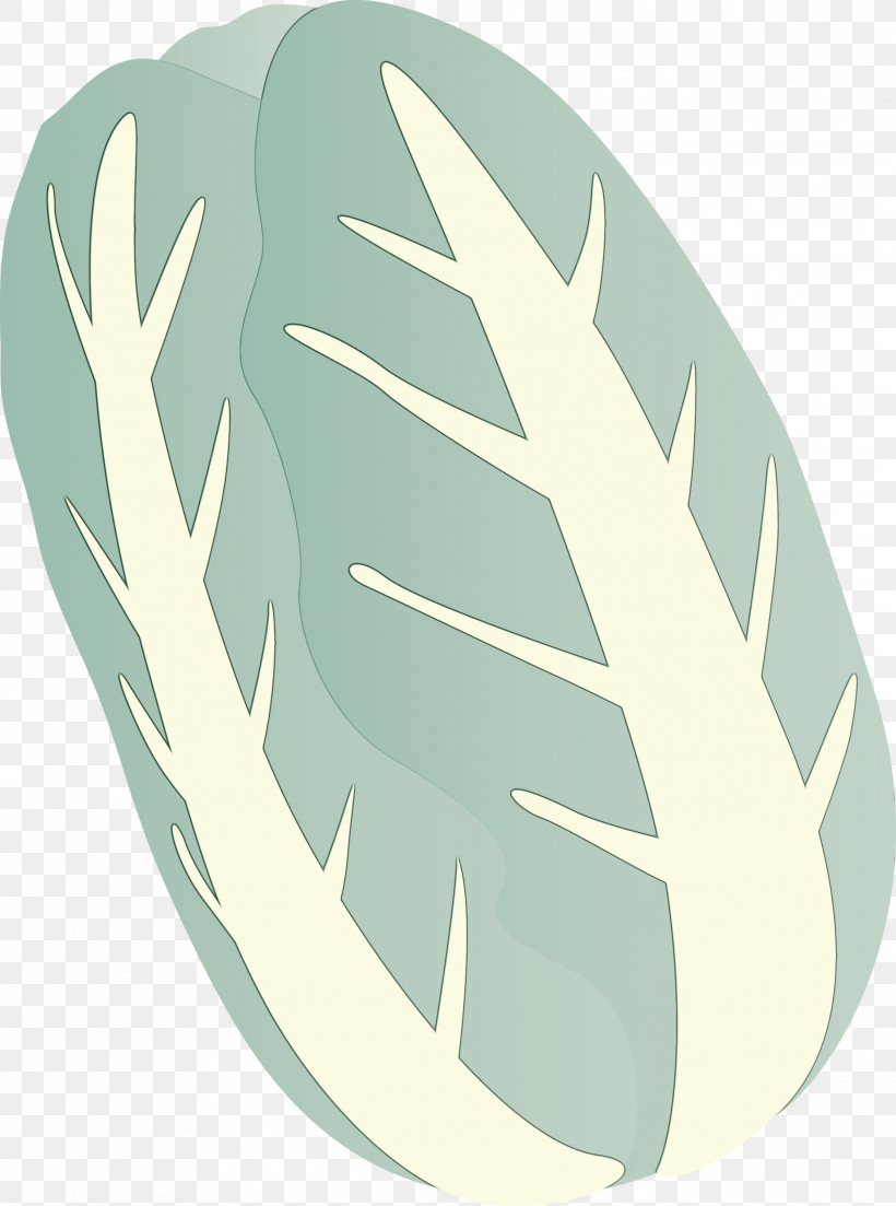 Feather, PNG, 2230x3000px, Nappa Cabbage, Feather, Hand, Leaf, Paint Download Free