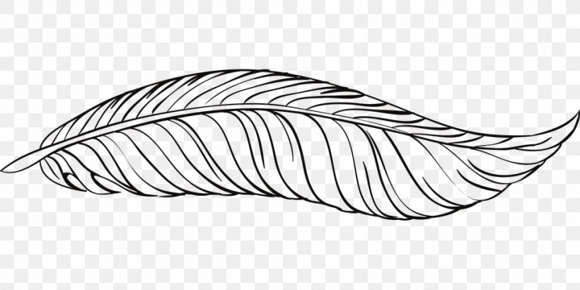 Feather, PNG, 960x480px, Feather, Area, Black And White, Computer Graphics, Leaf Download Free