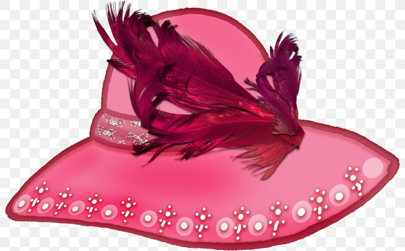 Hat Woman Designer, PNG, 800x508px, Hat, Designer, Headgear, Hood, Magenta Download Free