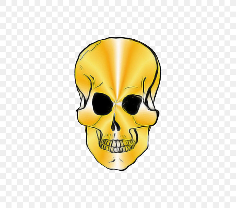 Bone Skull Yellow Head Jaw, PNG, 511x720px, Bone, Head, Jaw, Skull, Yellow Download Free