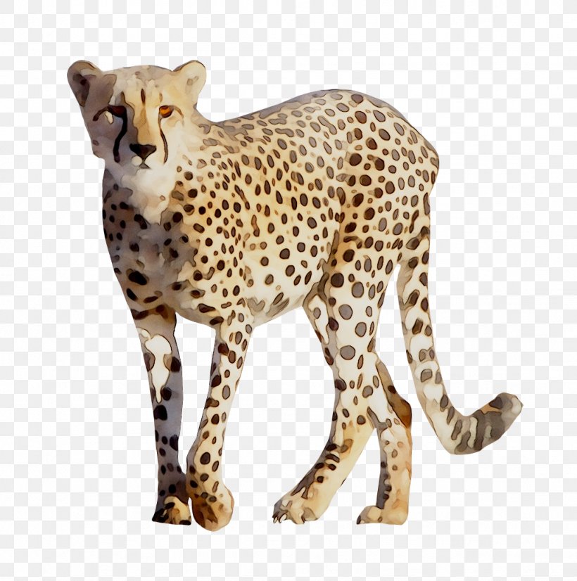 Cheetah Clip Art Felidae Leopard, PNG, 1026x1034px, Cheetah, African Leopard, Animal, Animal Figure, Big Cats Download Free