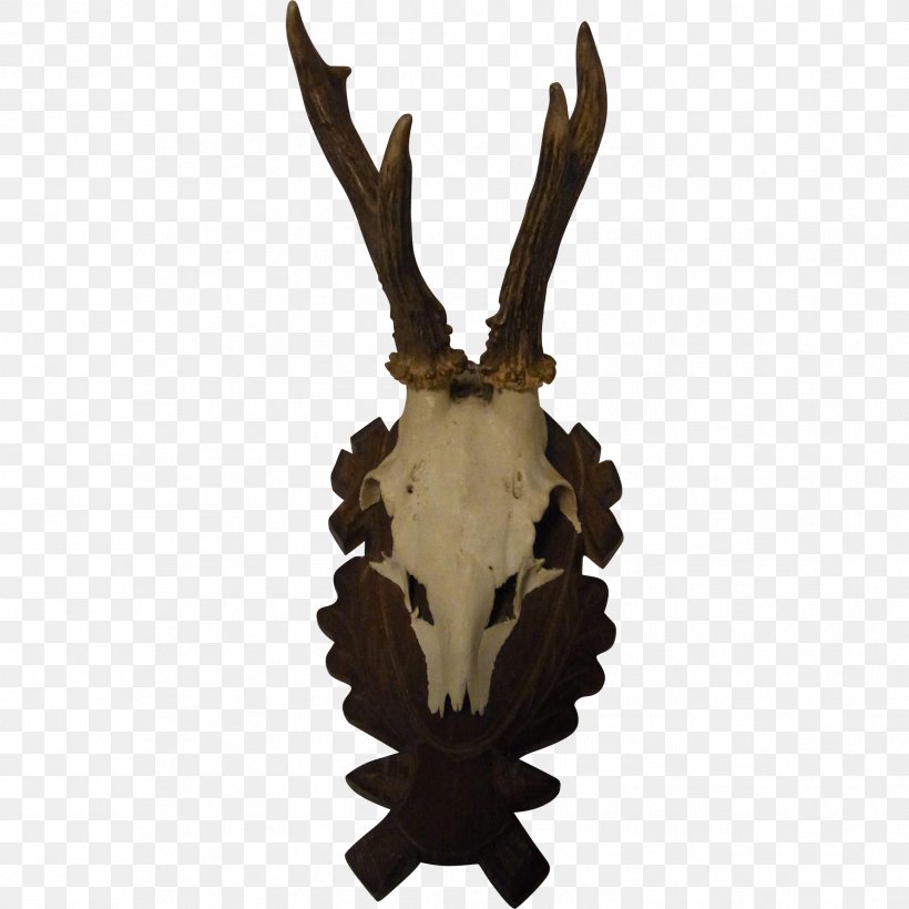 Deer Trophy Hunting Horn, PNG, 1781x1781px, Deer, Antler, Horn, Hunting, Trophy Download Free