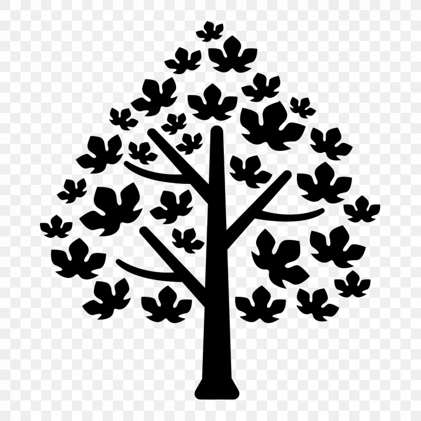 Maple Canada Organization, PNG, 1200x1200px, Maple, Black And White, Branch, Canada, Company Download Free