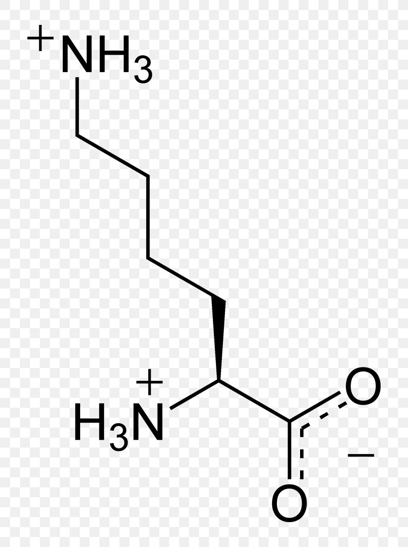 Nucleic Acid Monomer Amino Acid Nucleotide, PNG, 810x1100px, Nucleic Acid, Acid, Amine, Amino Acid, Area Download Free