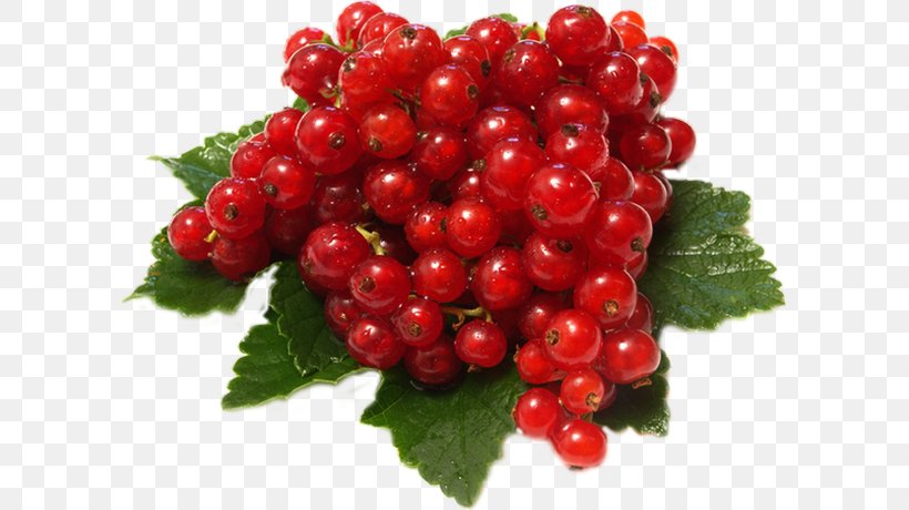 Gooseberry Desktop Wallpaper Image Raspberry, PNG, 600x460px, Gooseberry, Accessory Fruit, Berry, Bilberry, Blueberry Download Free